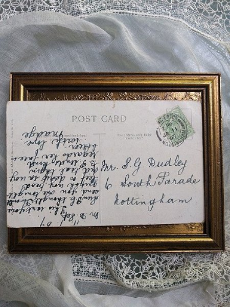 画像3: Postcard 4匹の犬 イギリス1907年 (3)