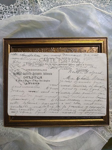 画像2: Postcard ダックスフンド犬とハリネズミ 1906年 (2)