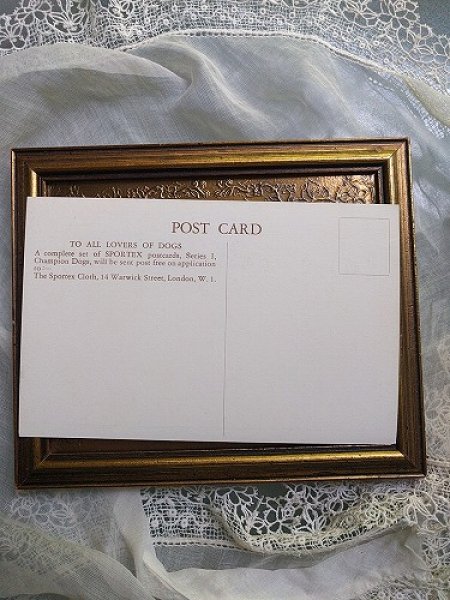 画像2: Postcard ケアンテリア 犬  (2)