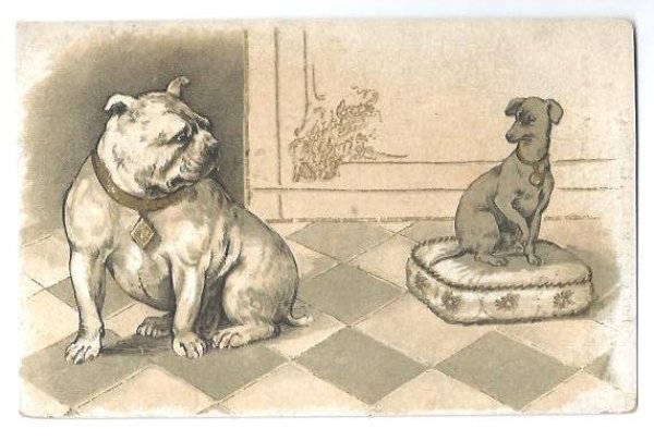 画像1: Postcard　ブルドッグとミニチュアピンシャー犬 (1)