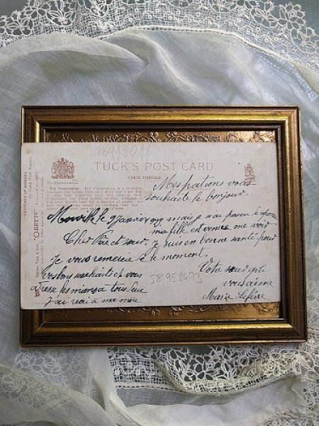 画像2: Postcard ポメラニアン 犬 (2)