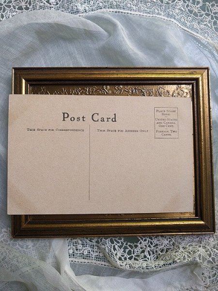 画像2: Postcard イングリッシュブルドッグ犬と赤ちゃん 未使用  (2)