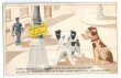 画像1: Postcard　ペンキ塗りたて　2匹の犬　 (1)