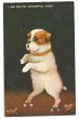 画像1: Postcard　ローラースケートに乗る犬　ブルドッグ？　1911年 (1)