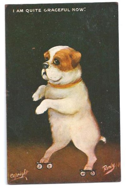 画像1: Postcard　ローラースケートに乗る犬　ブルドッグ？　1911年 (1)