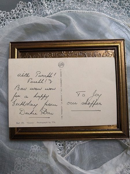 画像2: Postcard ワイヤーフォックステリア犬と黒猫 (2)