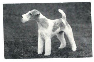 Snowdrop Postcards アンティークポストカード専門店