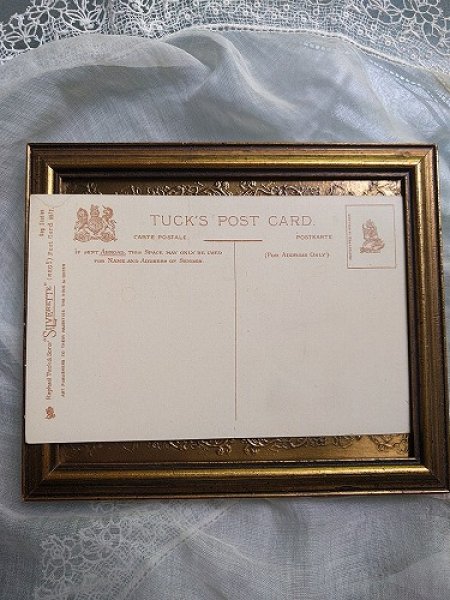 画像2: Postcard ワイヤーフォックステリア犬 写真 未使用 (2)