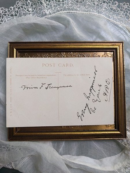 画像2: Postcard テリア犬の子犬たち 1904年 (2)