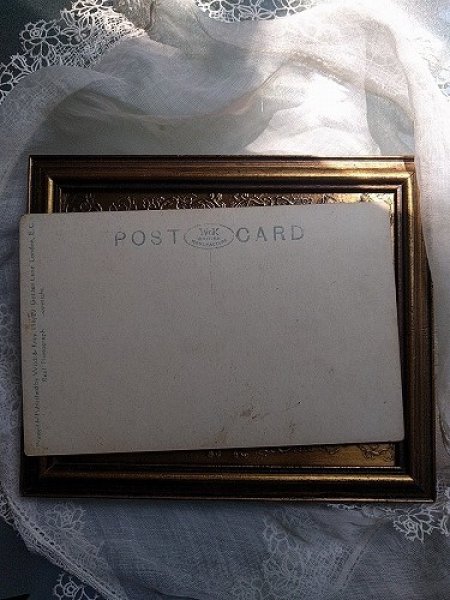 画像2: Postcard ハシビロコウ  Shoebill (2)