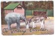 画像1: ▼SALE 500▼  Postcard　仲良くご飯を一緒に食べる小象とロバ　1906年 (1)