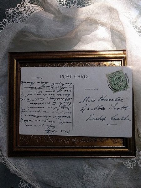 画像2: Postcard　動物園のキリン　イギリス1906年 (2)