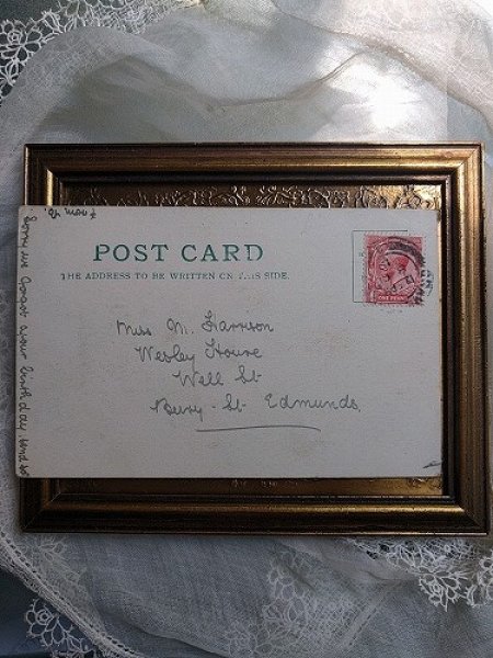 画像2: Postcard 笑うロバ (2)