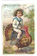 画像1: Postcard  Thanksgiving 感謝祭の七面鳥に乗るセーラー服の男の子　1912年 (1)