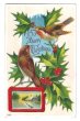画像1: Postcard  Xmas　クリスマス　小鳥　 ロビン　1914年 (1)