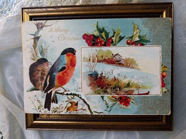 画像2: Postcard  Xmas クリスマス 小鳥さん  1908年 (2)