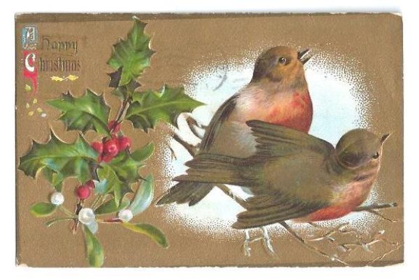 画像1: Postcard  Xmas　クリスマス　2羽の小鳥　 ロビン　1910年 (1)