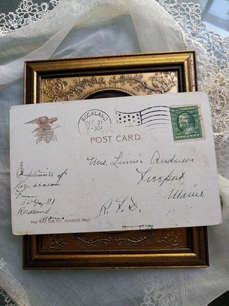 画像3: Postcard  Xmas クリスマス 小鳥さん  1908年 (3)