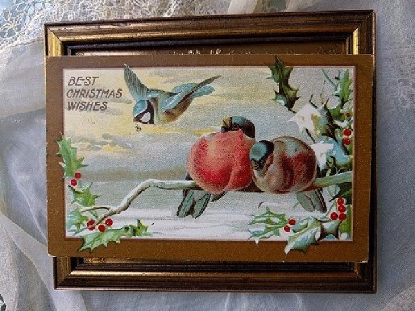 画像2: Postcard  Xmas クリスマス 小鳥  ロビン フィンチ 1909年 (2)
