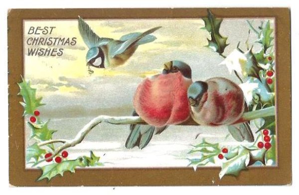 画像1: Postcard  Xmas　クリスマス　小鳥　 ロビン　フィンチ　1909年 (1)