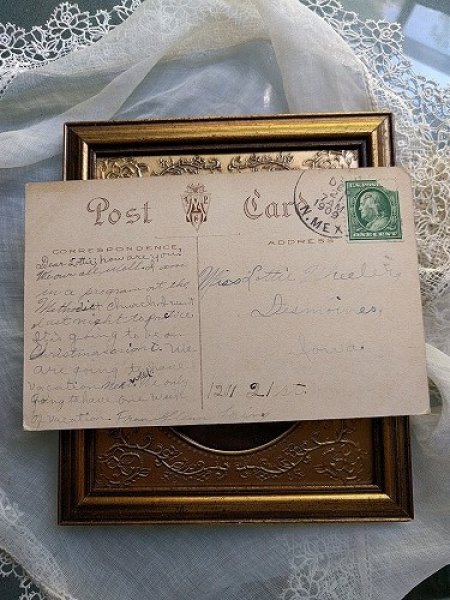画像3: Postcard  Xmas クリスマス 小鳥  ロビン フィンチ 1909年 (3)