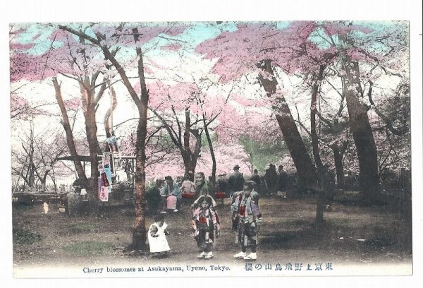 画像1: 手彩色絵葉書　東京　上野　飛鳥山の桜 (1)