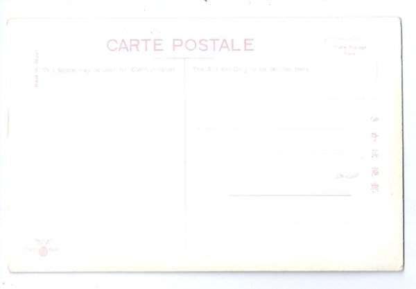 画像2: 古絵葉書　中国遼寧省　鉄嶺市 龍首山の景観 (2)