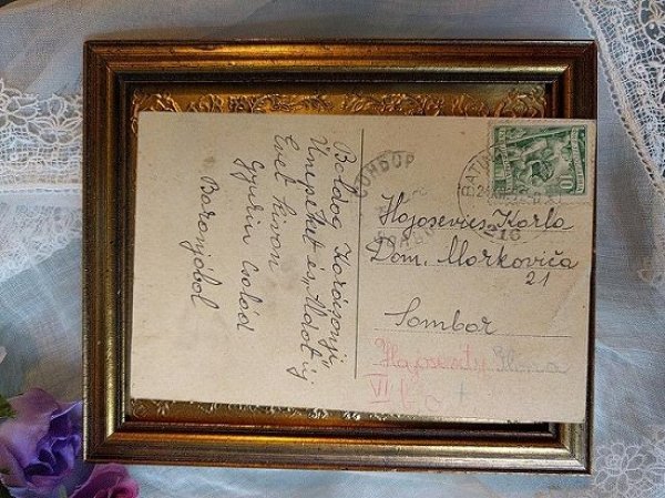 画像3: Postcard  　キノコとノーム妖精　 (3)