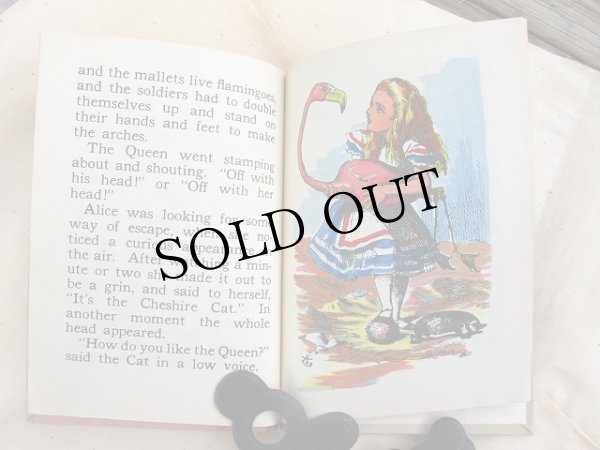 画像11: Vintage Book  アンティーク本 洋書 不思議の国のアリス (11)