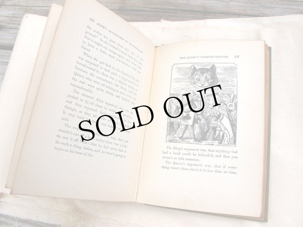 画像7: Vintage Book  アンティーク本　洋書　不思議の国のアリス　1907年 (7)