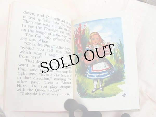 画像8: Vintage Book  アンティーク本 洋書 不思議の国のアリス (8)