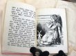 画像6: Vintage Book  アンティーク本　洋書　不思議の国のアリス (6)
