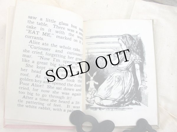 画像6: Vintage Book  アンティーク本 洋書 不思議の国のアリス (6)