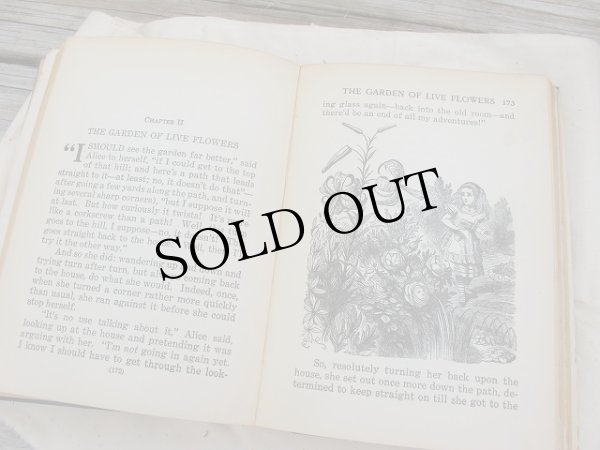 画像16: Vintage Book  アンティーク本 洋書 不思議の国のアリス 1925年 (16)