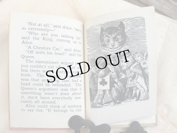 画像12: Vintage Book  アンティーク本 洋書 不思議の国のアリス (12)