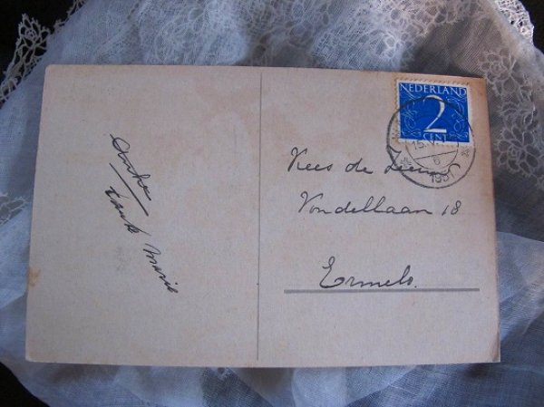 画像2: Postcard 風邪をひいてしまった犬 (2)