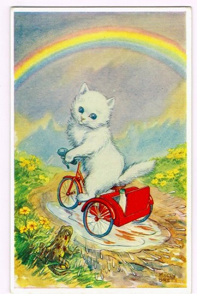 画像1: Postcard　雨上がりに自転車に乗る白い猫　Molly Brett (1)