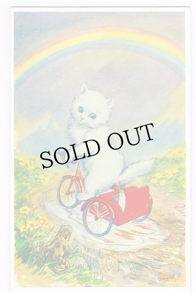 画像1: Postcard　雨上がりに自転車に乗る白い猫　Molly Brett (1)