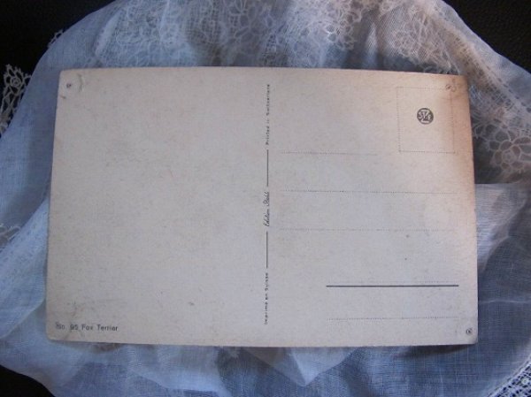 画像3: Postcard フォックステリア スイス (3)