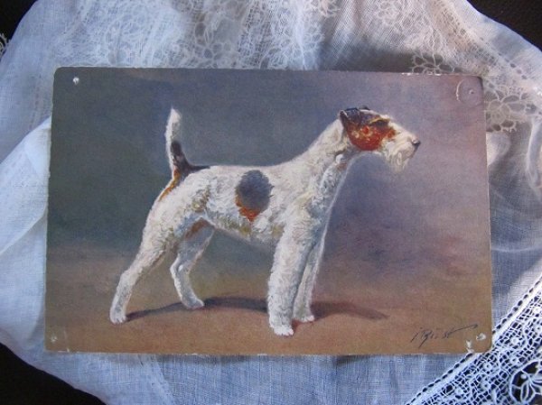 画像2: Postcard フォックステリア スイス (2)