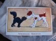 画像2: Postcard　犬にキスをする黒猫　イギリス1918年 (2)
