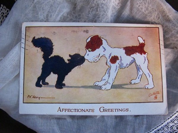 画像2: Postcard 犬にキスをする黒猫 イギリス1918年 (2)