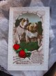 画像2: Postcard　イングリッシュ・ブルドッグ犬　薔薇のお花 (2)
