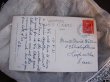 画像3: Postcard　子犬と黒猫　イギリス1931年 (3)
