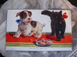 画像2: Postcard　子犬と黒猫　イギリス1931年 (2)