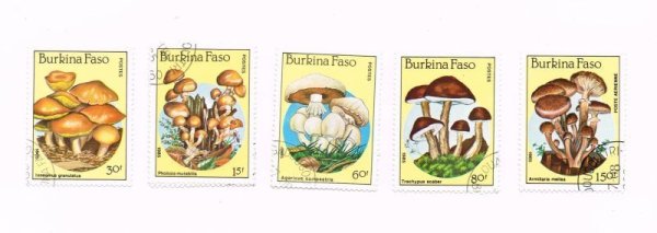 画像1: Vintage Stamp　キノコの切手　5枚セット　1986年 (1)