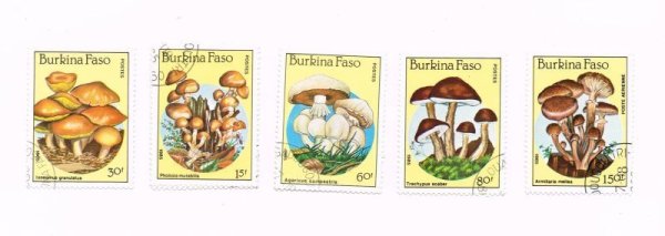 画像1: Vintage Stamp　キノコの切手　6枚セット　1985年 (1)