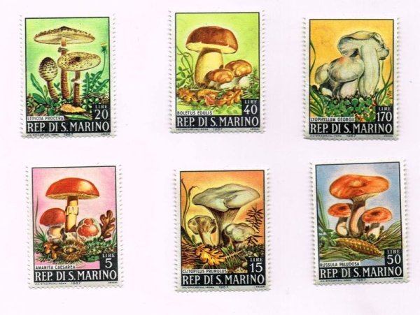 画像1: Vintage Stamp　キノコの切手　6枚セット　1967年 (1)