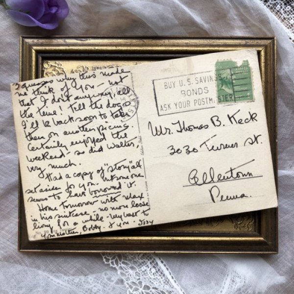 画像3: Postcard ワイヤーフォックステリア犬 1930年 (3)