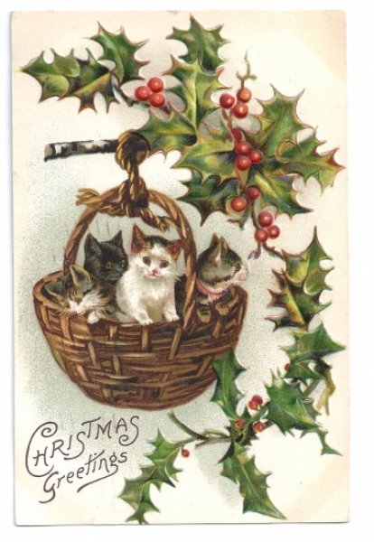 画像1: Postcard　Xmas　クリスマス　バスケットの4匹の子猫たち　Helena Maguire 1910年 (1)